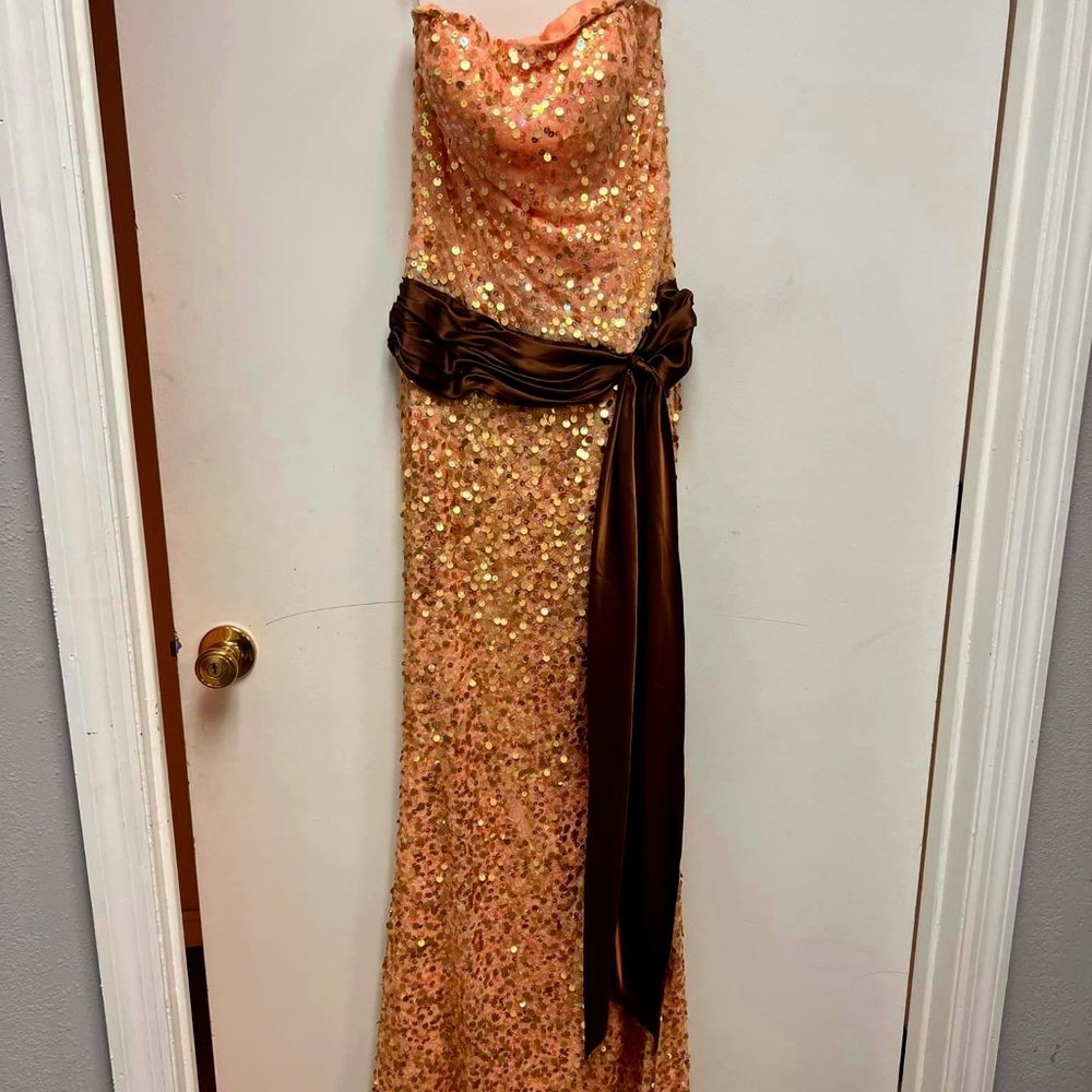 Beautiful light pink and brown prom dress